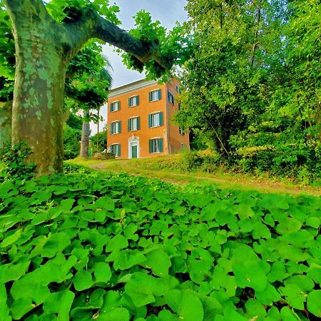 Villa De Benedetti サルツァーナ エクステリア 写真