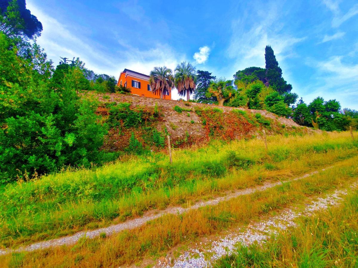 Villa De Benedetti サルツァーナ エクステリア 写真