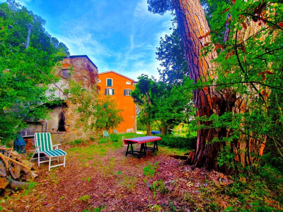 Villa De Benedetti サルツァーナ エクステリア 写真