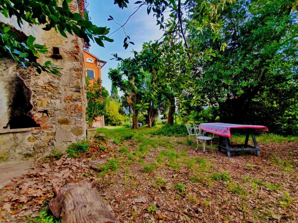 Villa De Benedetti サルツァーナ エクステリア 写真